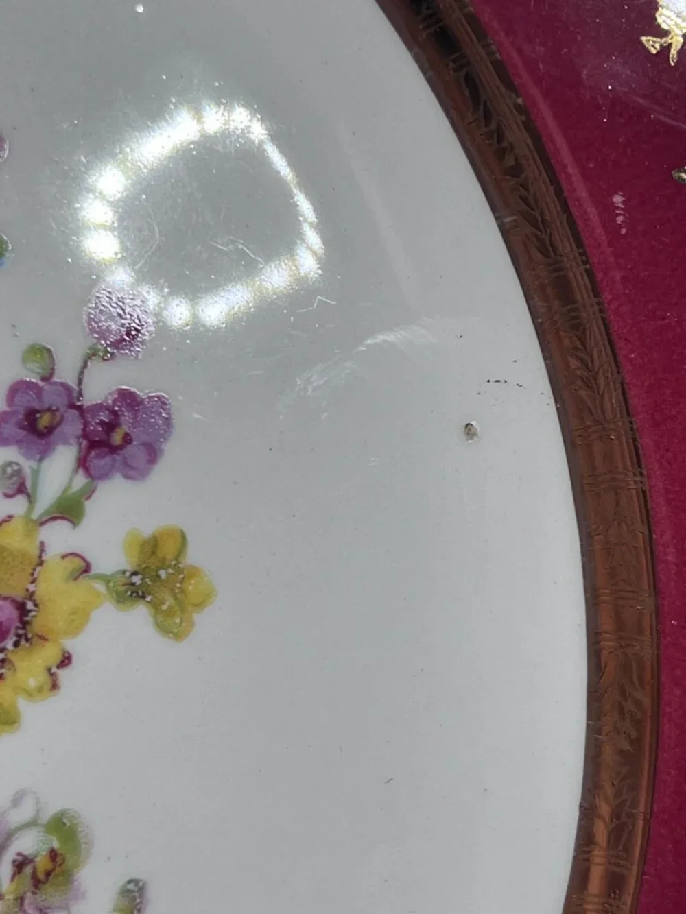 Salem Dinner Plate Aristocrat Maroon (Floral Center)